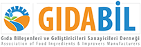 GIDABİL